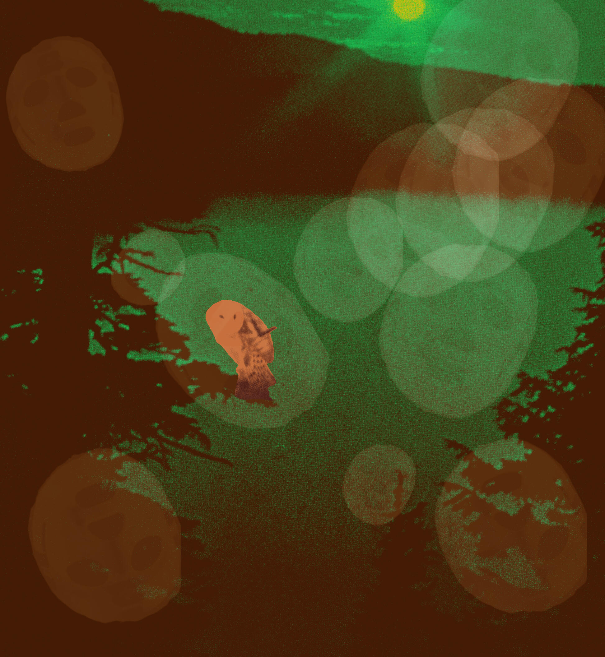 Untitled Untitled